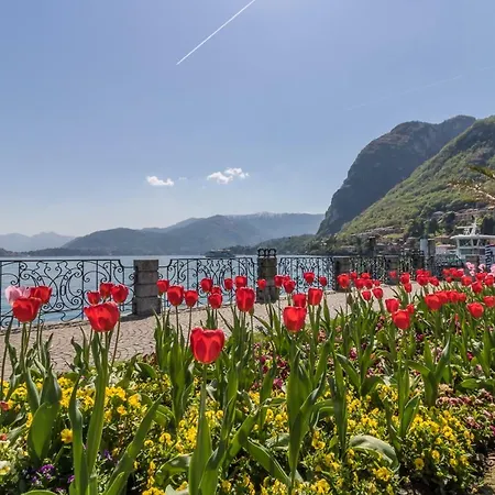 Apartment Il Borgo *